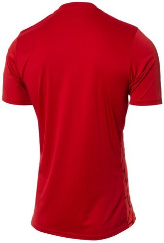 adidas Performance-Adidas As Roma Pre Match 2023/2024-1