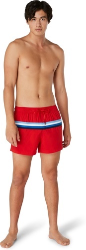 Speedo-Short de bain Speedo Eco Sna Colourblock Volley 14-1