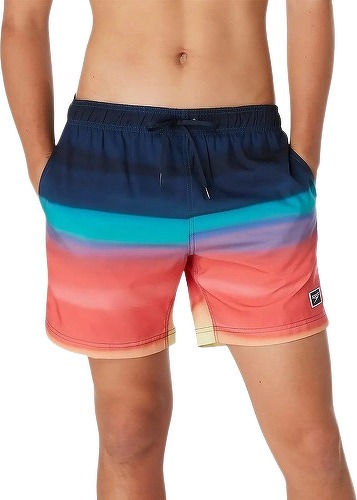 Speedo-Short de bain Speedo Eco Sna Print Volley 17-1