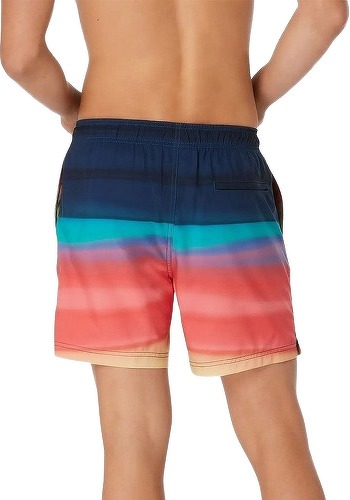 Speedo-Short de bain Speedo Eco Sna Print Volley 17-2