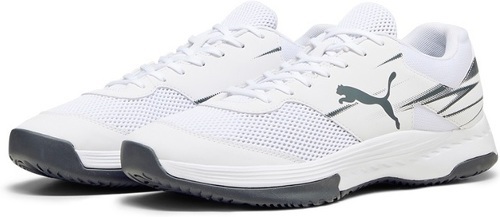 PUMA-Varion 2-4