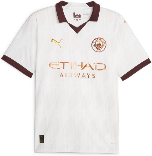PUMA-Maillot Away 23/24 Manchester City Homme-image-1