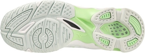 MIZUNO-Chaussures Mizuno Wave Voltage Femmes-1