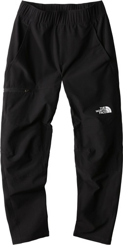 THE NORTH FACE-B PARAMOUNT PANTS-image-1