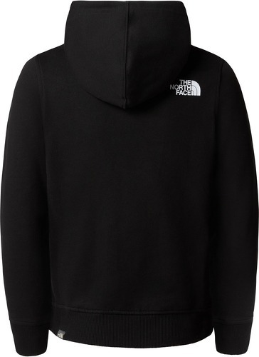 THE NORTH FACE-Teens Box P/O Hoodie-1