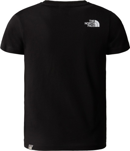 THE NORTH FACE-B Box Tee-1