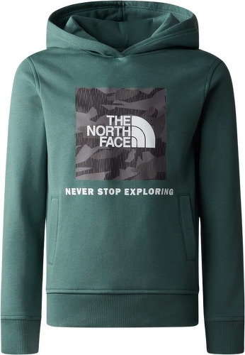 THE NORTH FACE-TEENS BOX P/O HOODIE-image-1