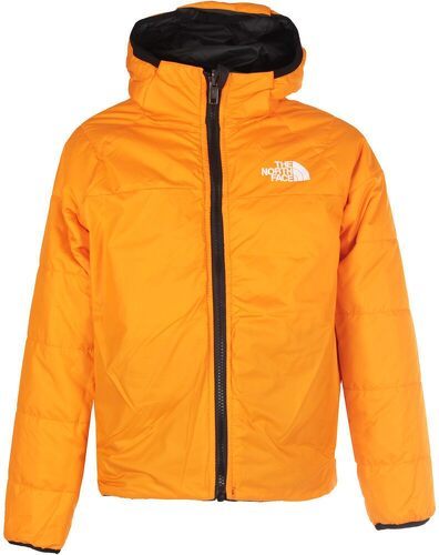 THE NORTH FACE-B REVERSIBLE PERRITO JACKET-2