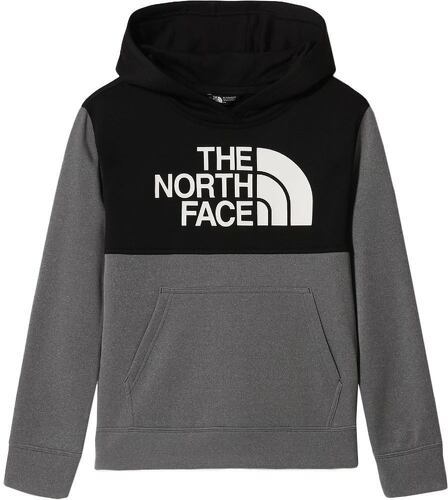 THE NORTH FACE-B SURGENT P/O BLOCK HOODIE-image-1