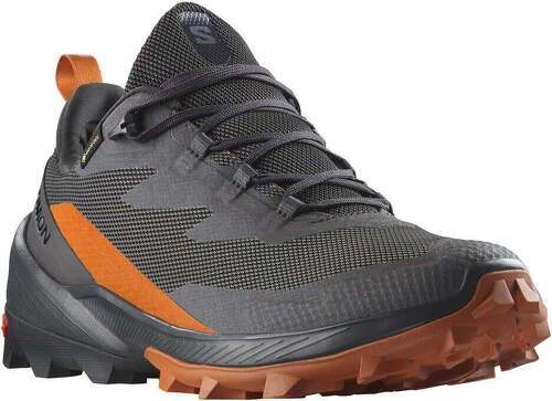 SALOMON-Cross Over 2 Gore-Tex-3