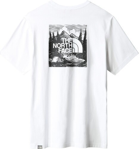 THE NORTH FACE-M Box Celebration Tee-1