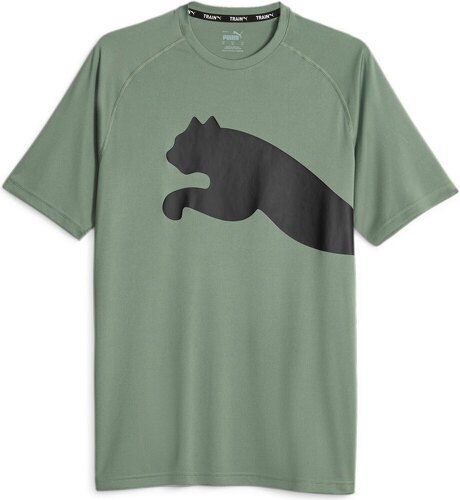 PUMA-Train All Day Big Cat Tee-2