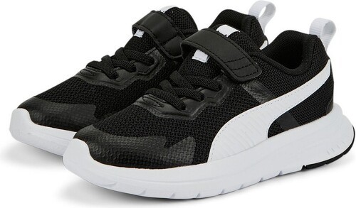 PUMA-Evolve Run Mesh-2