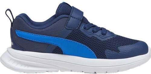 PUMA-X Evolve Run Mesh-2