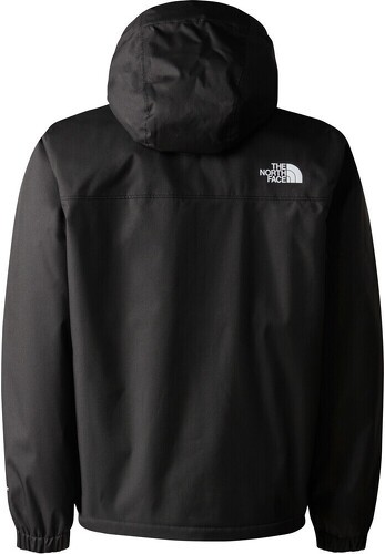 THE NORTH FACE-B Warm Storm Rain Veste-1