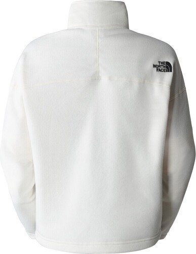 THE NORTH FACE-W 100 Glacier Cropped Zip-1