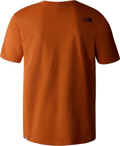 THE NORTH FACE-M Mountain Line Tee-1