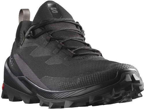 SALOMON-Cross Over 2 Gore-Tex-3