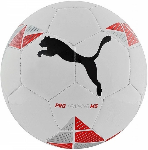 PUMA-Pro Training MS ball-image-1