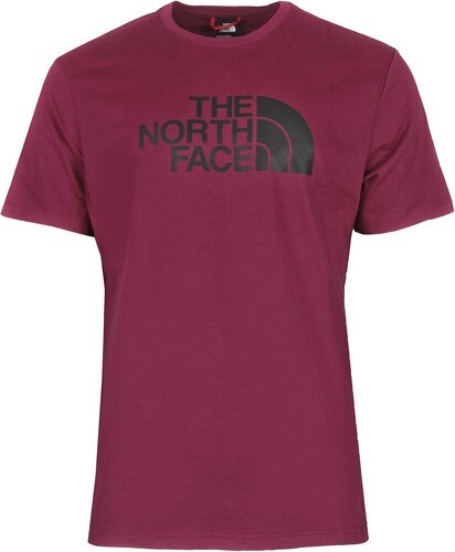 THE NORTH FACE-Camiseta The North Face M S/S Easy Tee-image-1