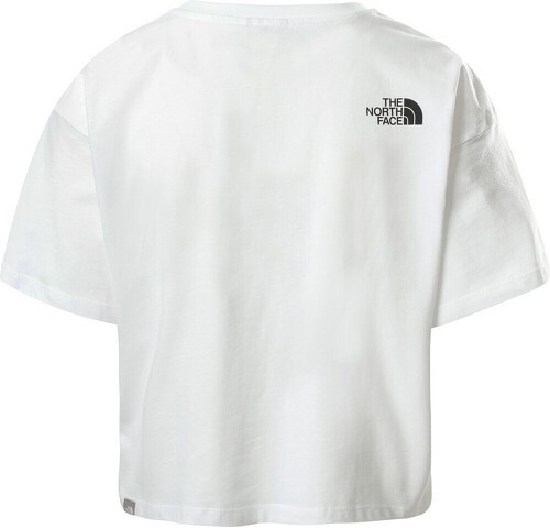THE NORTH FACE-W CROPPED SIMPLE DOME TEE-1