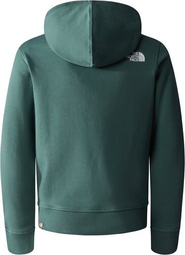 THE NORTH FACE-Teens Box P/O Hoodie-1