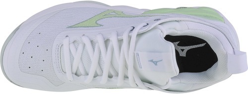 MIZUNO-Wave Luminous 2-3