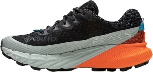 MERRELL-Agility Peak 5 Gtx-1