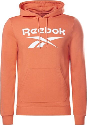 REEBOK-Ri Ft Oth Bl - Sweat-4