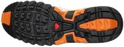 SALOMON-Acs Pro /Lunar Rock/Tomato Cream-2