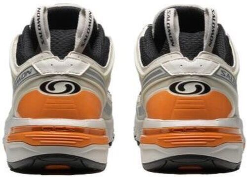 SALOMON-Acs Pro /Lunar Rock/Tomato Cream-3
