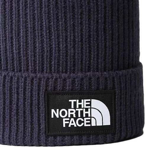 THE NORTH FACE-Casquette Tnf Logo Box Cuffed Summit-1