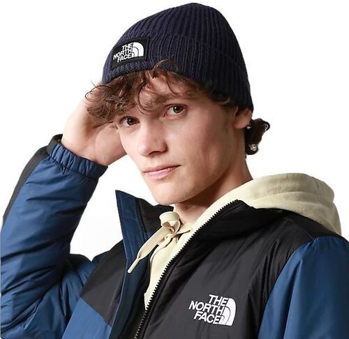 THE NORTH FACE-Casquette Tnf Logo Box Cuffed Summit-2