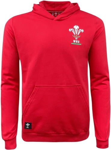 MACRON-Sweatshirt à capuche Pays de Galles Rugby XV Merch CA Groc-image-1