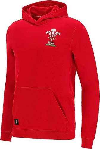 MACRON-Sweatshirt À Capuche Pays De Galles Rugby Xv Merch Ca Groc-1