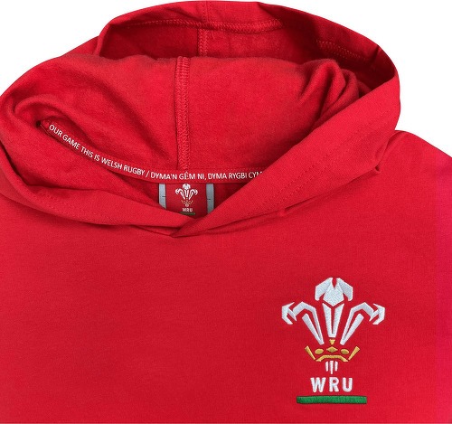 MACRON-Sweatshirt À Capuche Pays De Galles Rugby Xv Merch Ca Groc-3