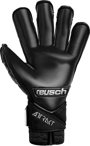 REUSCH-Vorlage REUSCH-1