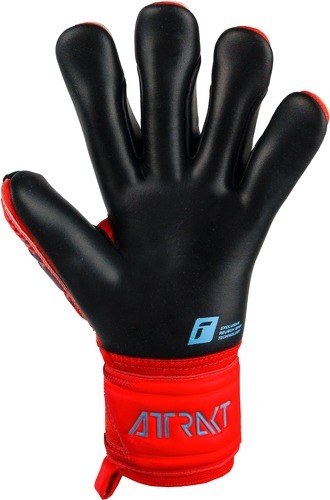 REUSCH-Gants De Gardien Reusch Attrakt Gold X-1