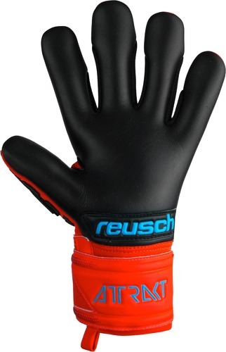 REUSCH-Gants De Gardien Reusch Attrakt Freegel-1