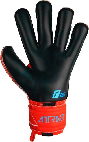 REUSCH-Gants De Gardien Reusch Attrakt Gold X Evolution-1