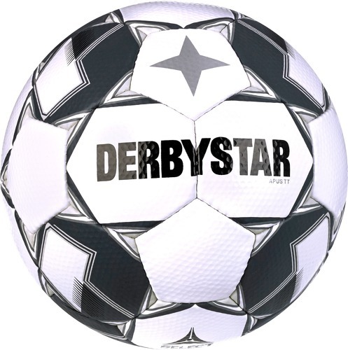 Derbystar-Apus TT v23 ballon de training-image-1