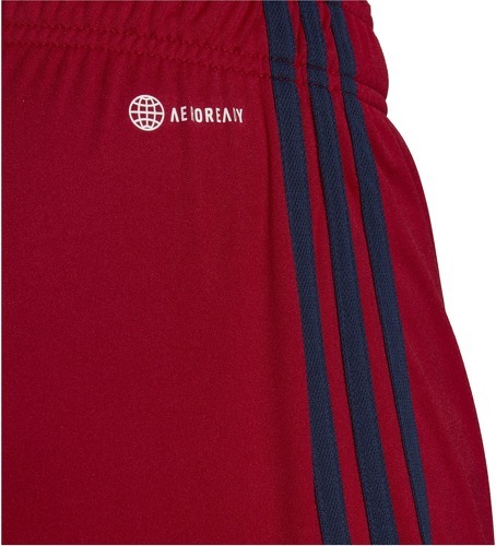 adidas Performance-Ajax De Ámsterdam Maillot Extérieur 2022/2023-3