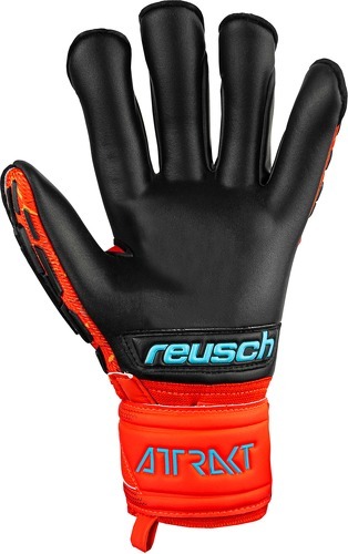 REUSCH-Gants De Gardien Reusch Attrakt Freegel Gold Evolution-1