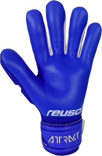 REUSCH-Reusch Attrakt Freegel Silver-1