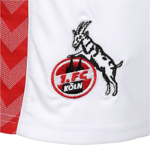 HUMMEL-1. Fc Köln Pantaloncini Third 2023/2024-2