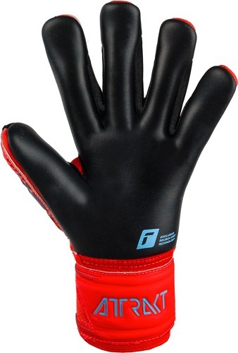 REUSCH-Gants De Gardien Reusch Attrakt Duo-1