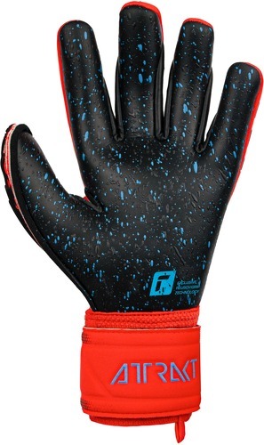 REUSCH-Gants De Gardien Reusch Attrakt Freegel Fusion Goaliator-1