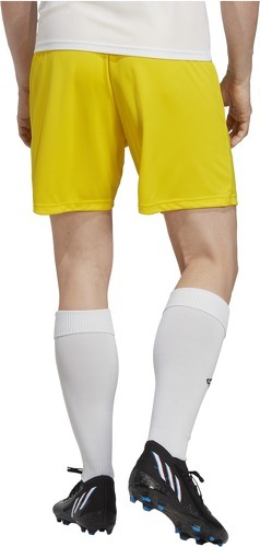 adidas Performance-Short Entrada 22-1