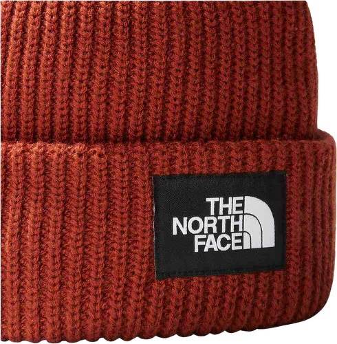 THE NORTH FACE-Salty Dog Lined Beanie-1