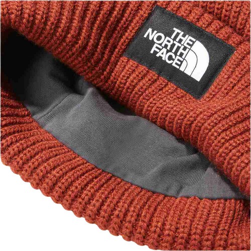 THE NORTH FACE-Salty Dog Lined Beanie-2